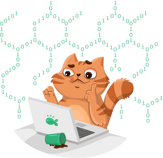 Котенок проходит курс Front-end разработки